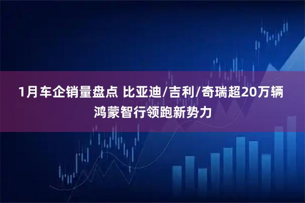 1月车企销量盘点 比亚迪/吉利/奇瑞超20万辆 鸿蒙智行领跑新势力