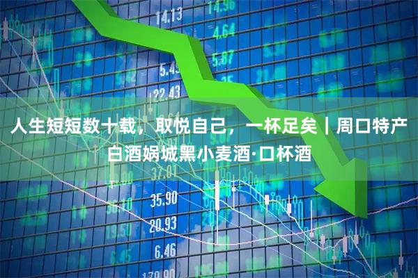 人生短短数十载，取悦自己，一杯足矣｜周口特产白酒娲城黑小麦酒·口杯酒