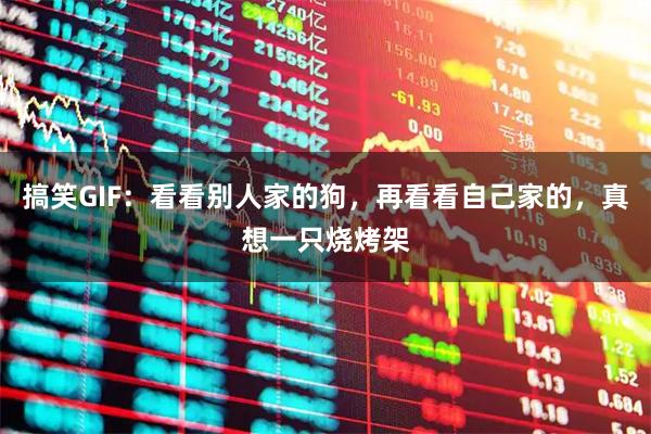搞笑GIF：看看别人家的狗，再看看自己家的，真想一只烧烤架