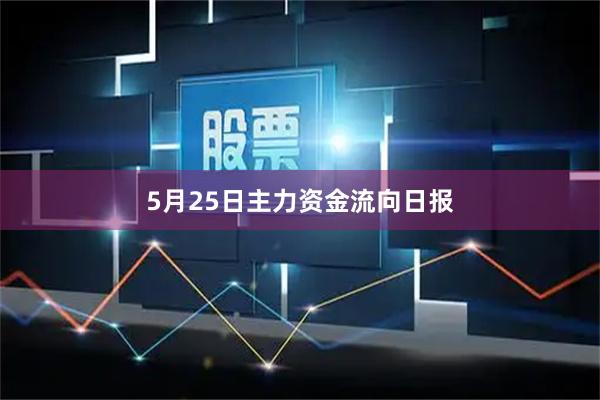 5月25日主力资金流向日报