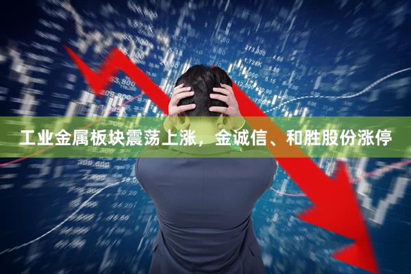 工业金属板块震荡上涨，金诚信、和胜股份涨停
