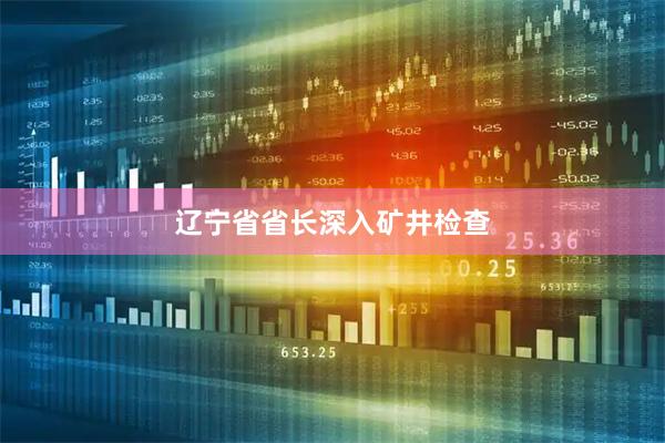 辽宁省省长深入矿井检查